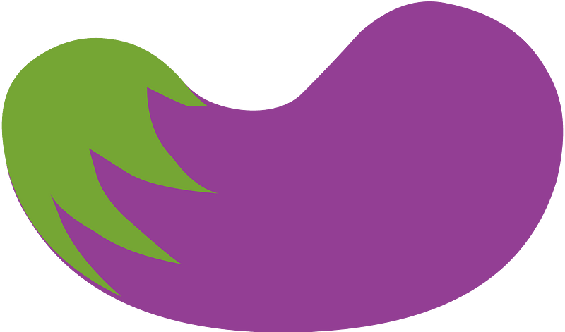 Purple eggplant