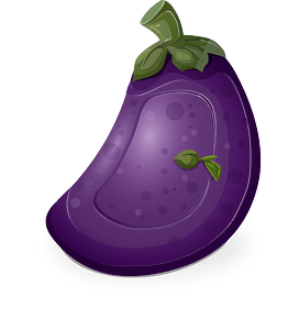 Purple eggplant