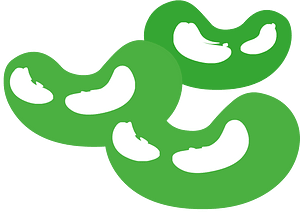 Three green beans