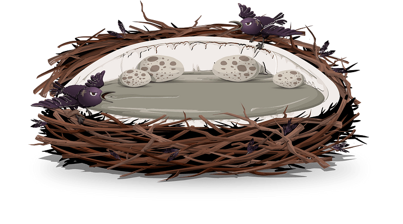 Grey brown birds eggs nest fantasy bed