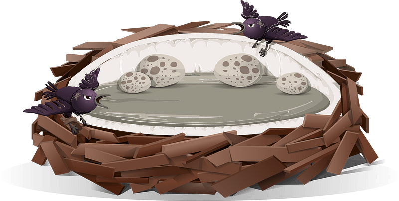 Grey brown birds eggs nest fantasy bed