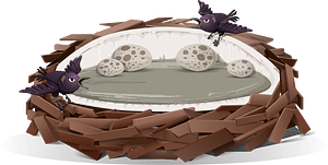 Grey brown birds eggs nest fantasy bed