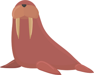海象