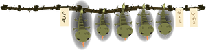 Dried lizards