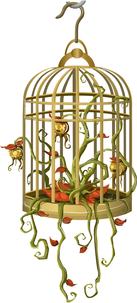 Golden cage ceiling decor