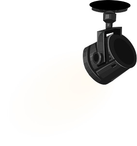 Black ceiling spotlight