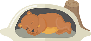 Bear den