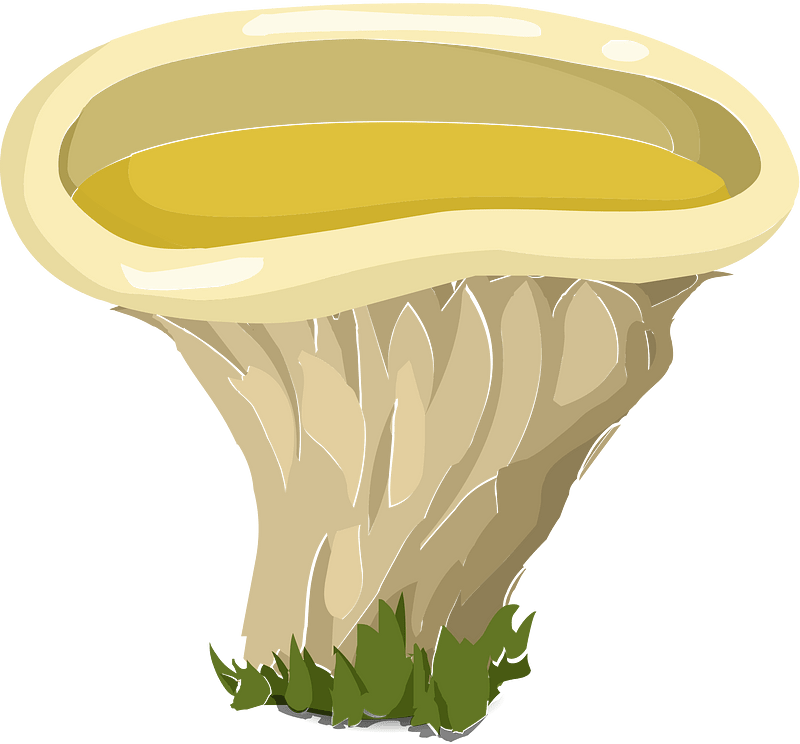Mushroom fantasy stool