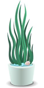 Plant with seashell