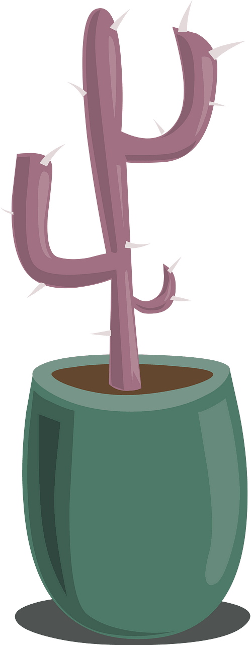 Potted cactus