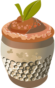 Thimble berry