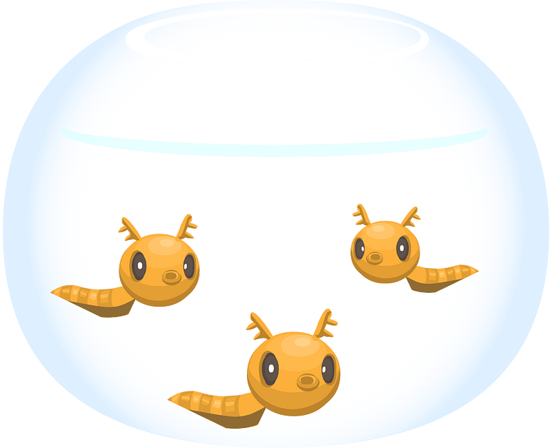 Three tadpoles in aquarium