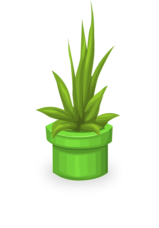 Warp pipe plant pot