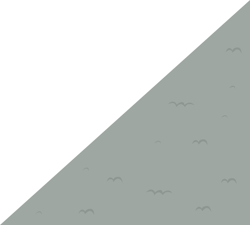 Grey carpet left