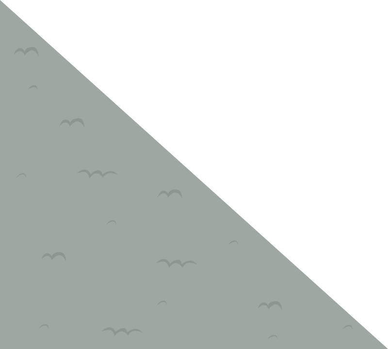 Grey carpet right