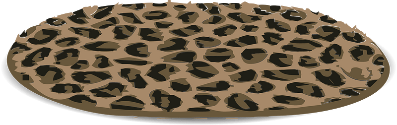 Leopard skin rug