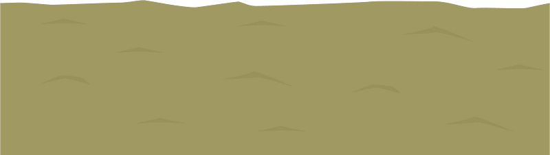 Yellow carpet up
