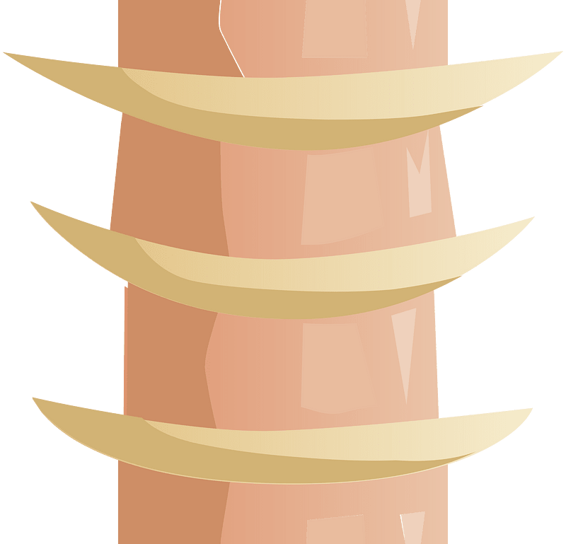 Tile center spine fantasy ladder