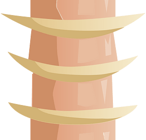 Tile center spine fantasy ladder