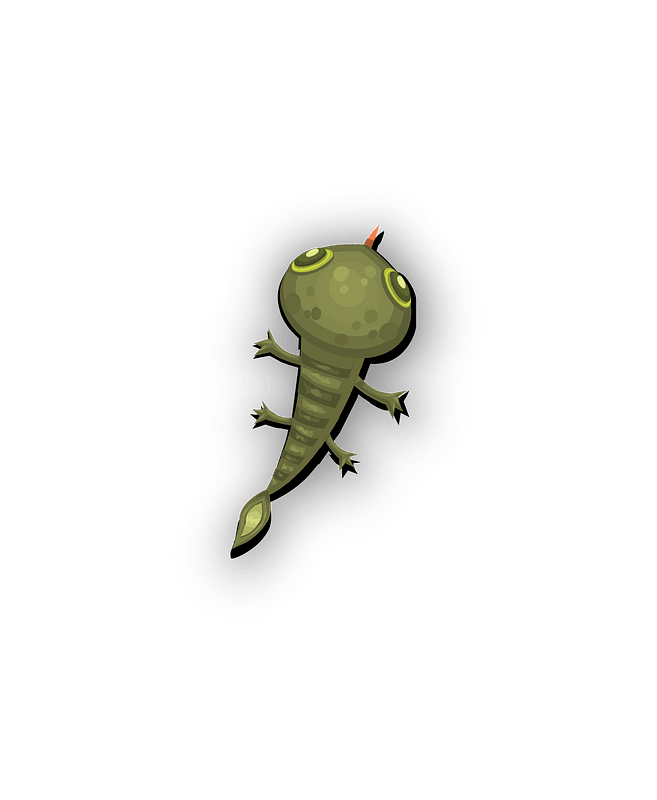 Lizard wall decor