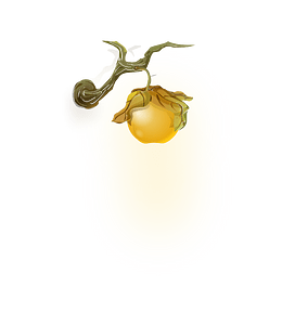 Yellow gooseberry wall fantasy lamp