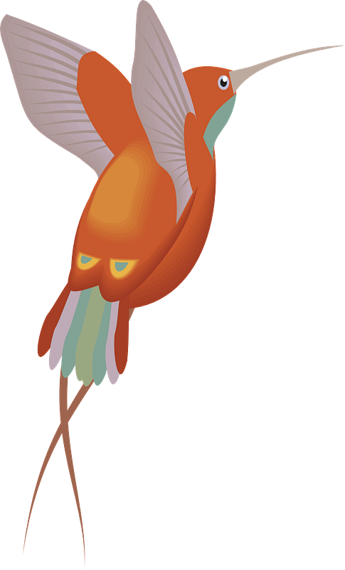 Hummingbird in flight