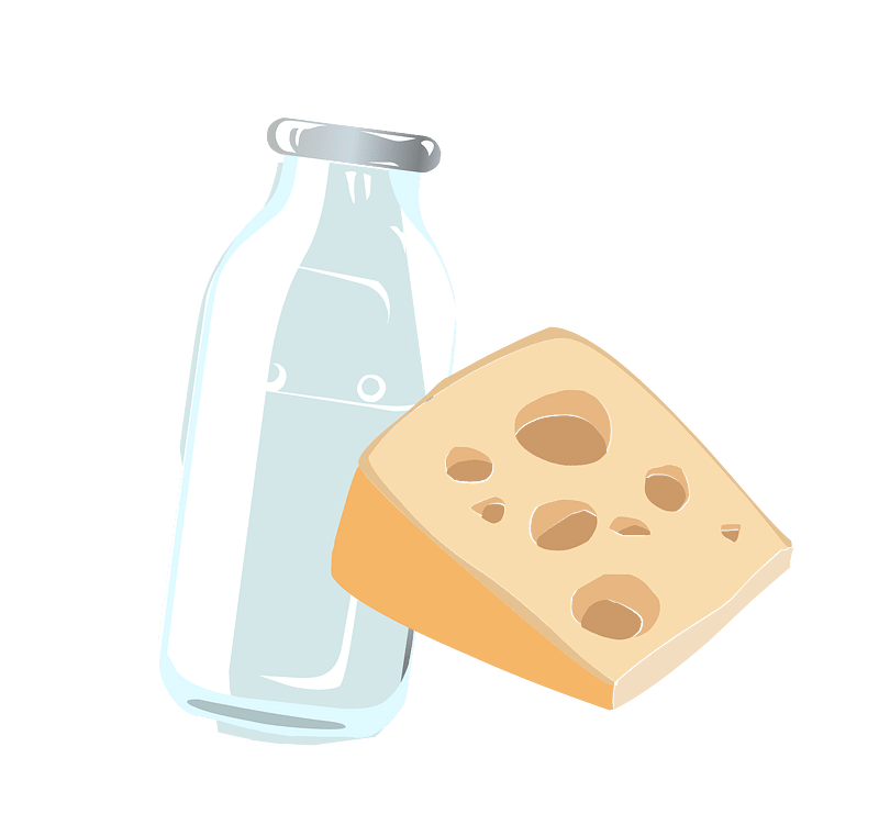 Cheese and empty bottle