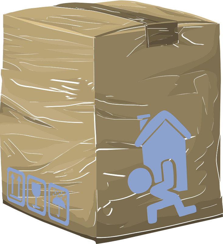 Carton moving box