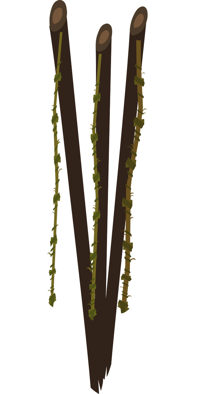 Ancient fishing rods