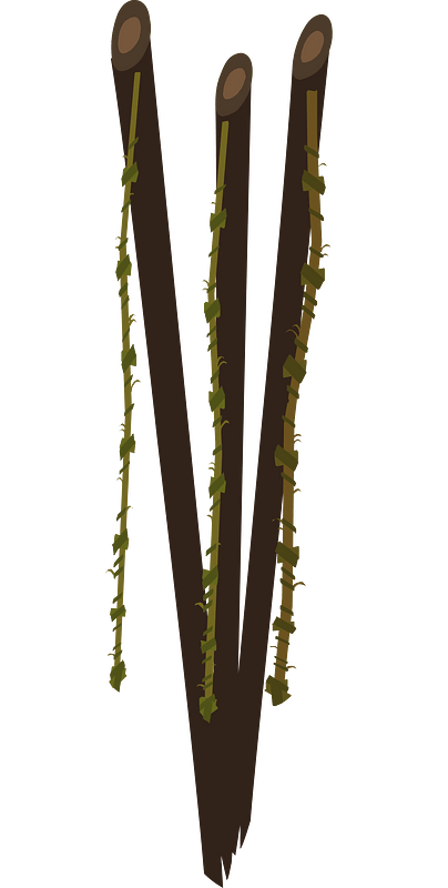 Ancient fishing rods