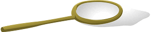 Butterfly net