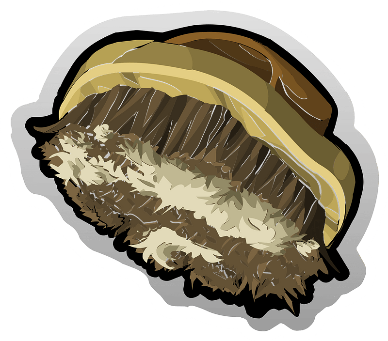 Dirty wooden brush