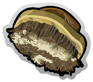 Dirty wooden brush