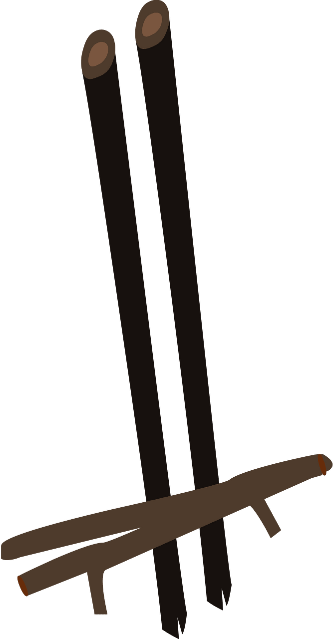 Two sticks