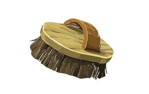 Wooden brush