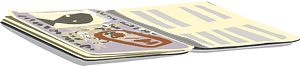 Passport
