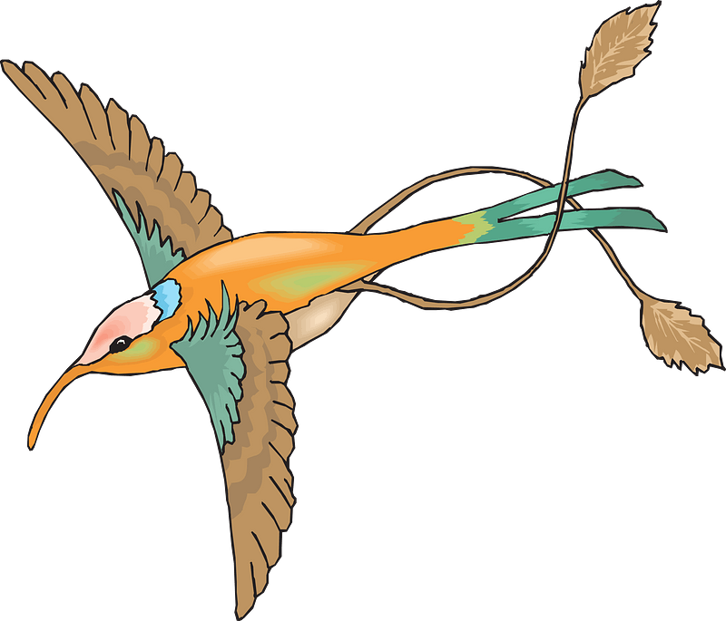 Fairy hummingbird