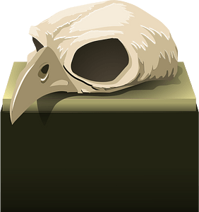 Rook skull trophy
