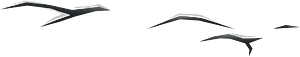 Cave crack