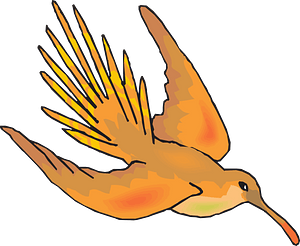 Hummingbird in flight