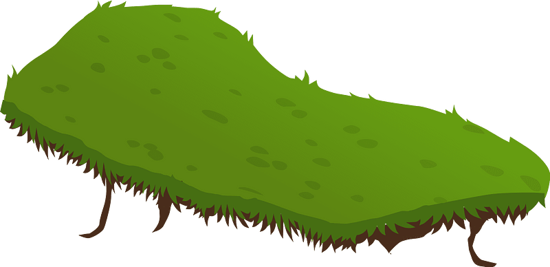 Cave grass topper