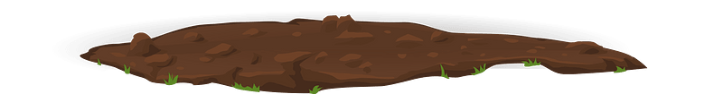 Brown dirt patch