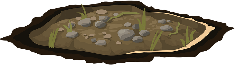 Brown dirt patch