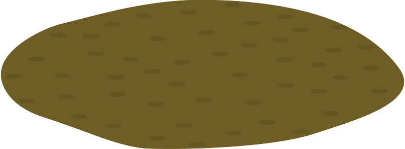 Brown dirt patch