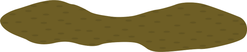 Brown dirt patch