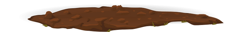 Brown dirt patch