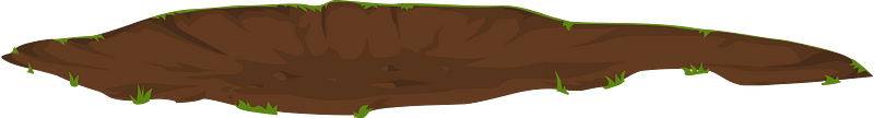 Brown dirt patch