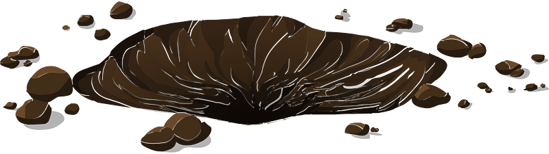 Brown dirt patch