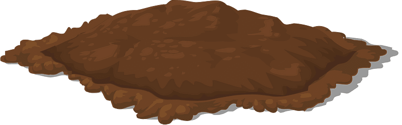 Brown dirt patch