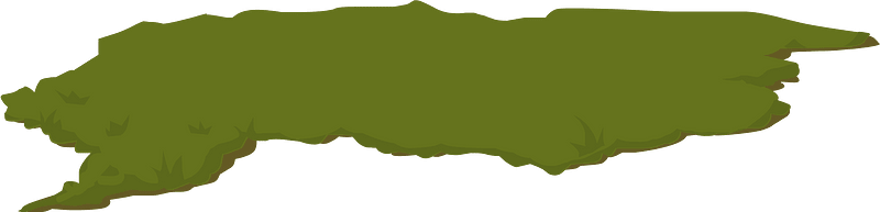 Green dirt patch
